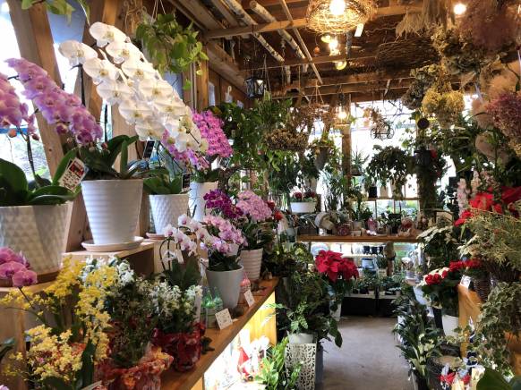「ハナヒロ」　（福岡県福岡市南区）の花屋店舗写真3