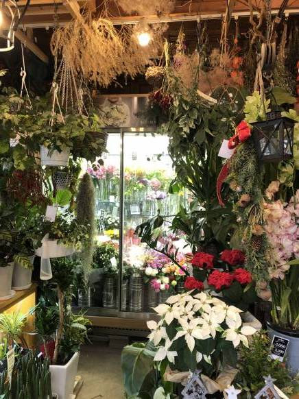 「ハナヒロ」　（福岡県福岡市南区）の花屋店舗写真4